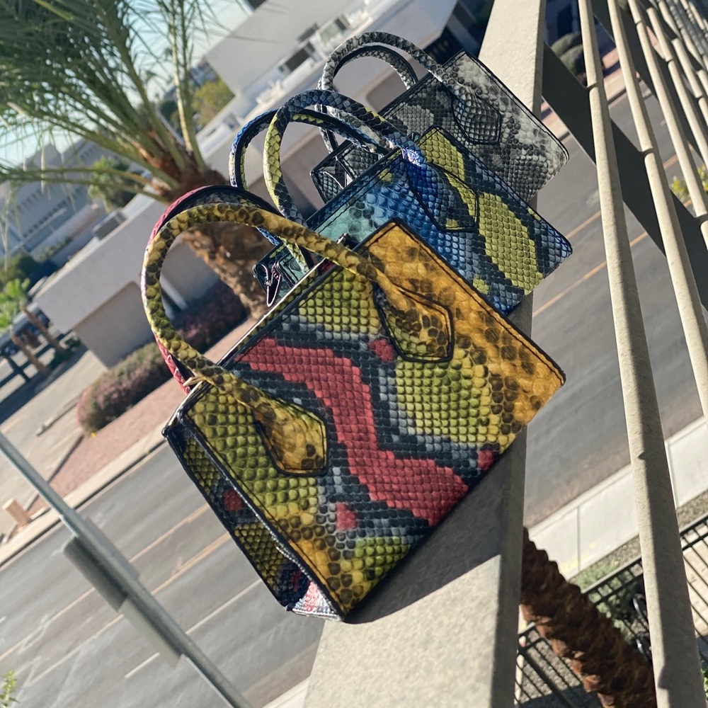“Alina” B’Lani Collections Purse